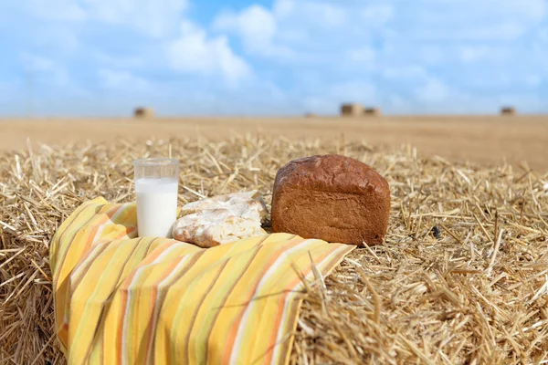 Almuerzo rural — Foto de Stock