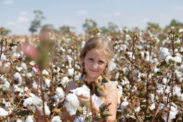 Retrato de uma menina em um campo de algodão — Fotografia de Stock