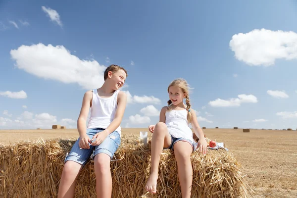 Brother sister summer laughs — Stock Photo, Image