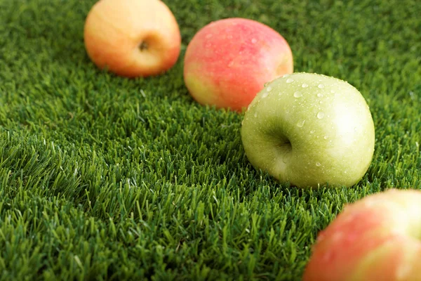 Différentes pommes sur l'herbe — Photo