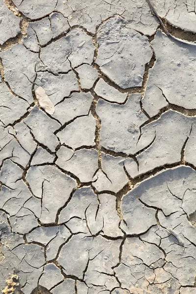 Tierra seca agrietada — Foto de Stock