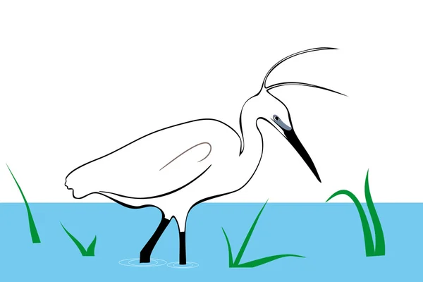 Cigüeña caminando sobre el agua, vector — Vector de stock
