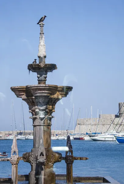 Rooks sitting on an old fountain — Stock Photo, Image