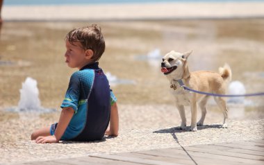 bir çocuk ve bir köpek