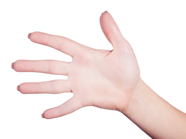 Mão feminina aberta isolada — Fotografia de Stock