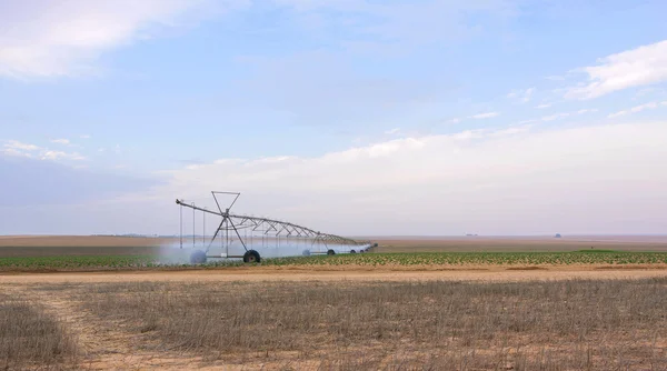 夏期農業機械に水をまく — ストック写真