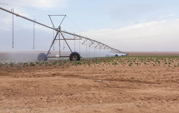 Máquina de riego en la agricultura — Foto de Stock