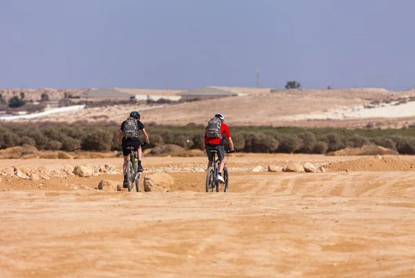 Una passeggiata nel deserto — Foto Stock