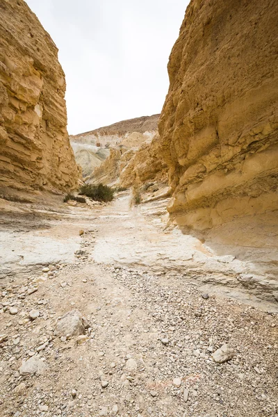 Schlucht mit wilder Aussicht — Stockfoto