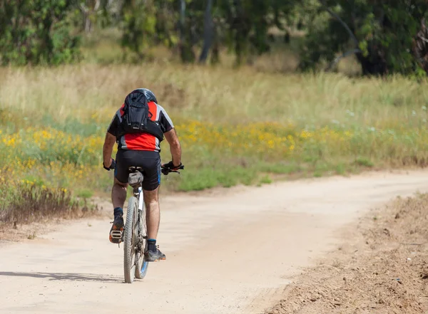 Bisikletçi yolda rides — Stok fotoğraf