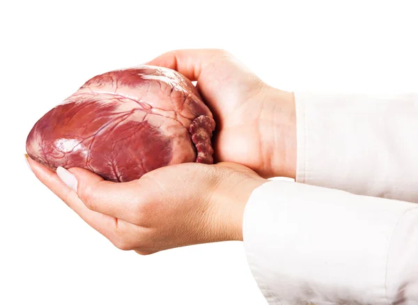 Hands holding heart — Stock Photo, Image