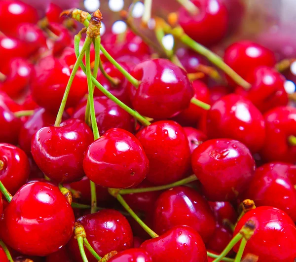 Twee cherry close-up — Stockfoto