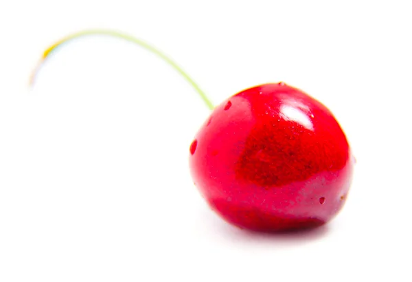 Cerezas suculentas maduras aisladas — Foto de Stock