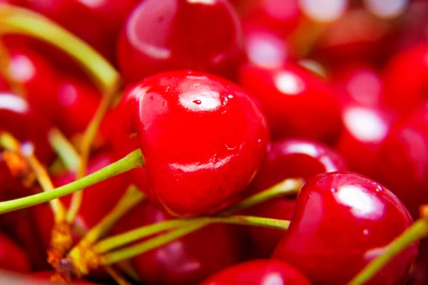 Ripe juicy red cherries closeup — Stock Photo, Image