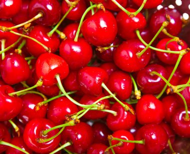  olgun sulu kırmızı kirazlar 