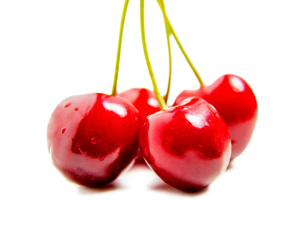 Racimo de cerezas jugosas maduras — Foto de Stock