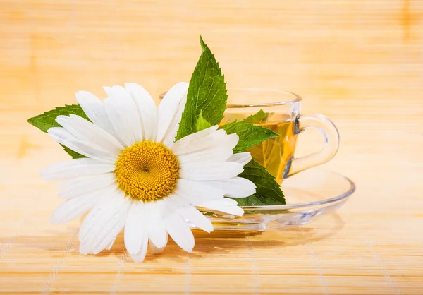 Té de manzanilla fresca — Foto de Stock