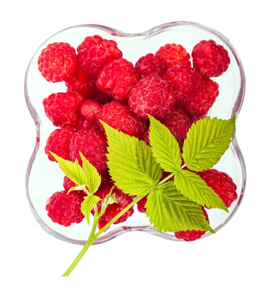 Raspberries view from the top and a green leaf — Stock Photo, Image