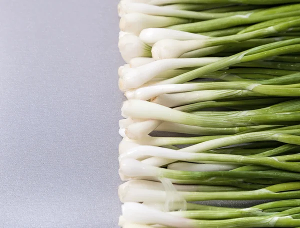 Fresh young spring onions — Stock Photo, Image