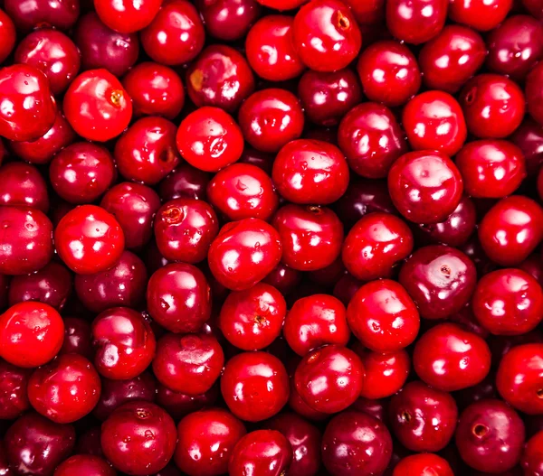 Cerezas rojas dulces jugosas — Foto de Stock