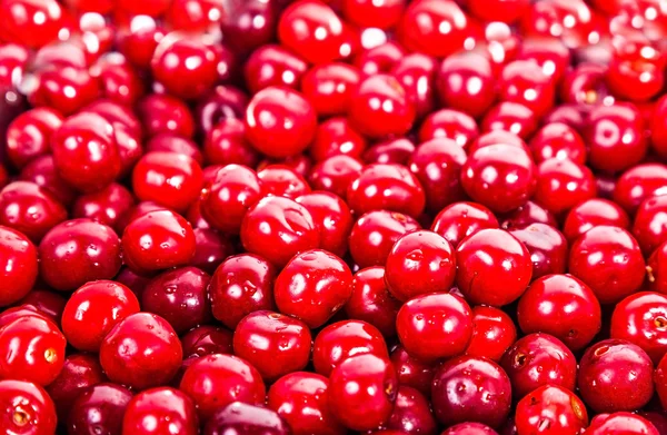 Cerises douces rouges juteuses mûres — Photo