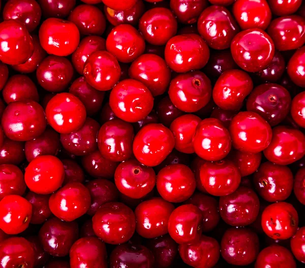 Cerezas rojas dulces — Foto de Stock