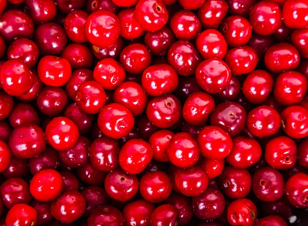 Cerezas rojas jugosas — Foto de Stock