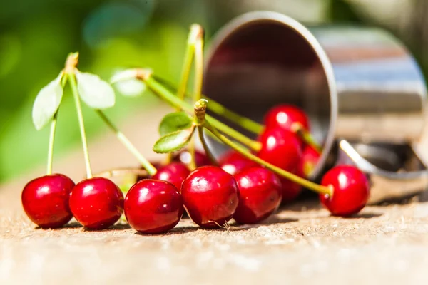 Bunch of ripe cherries spilled — Stock Photo, Image