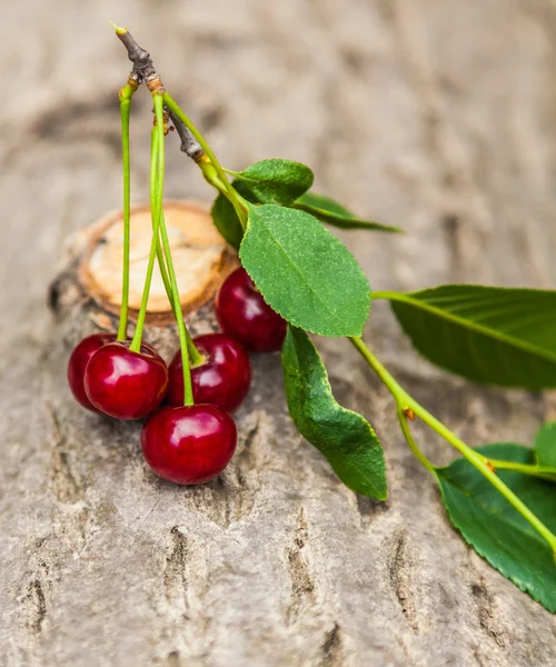 Bunch of ripe cherries — Stock Photo, Image