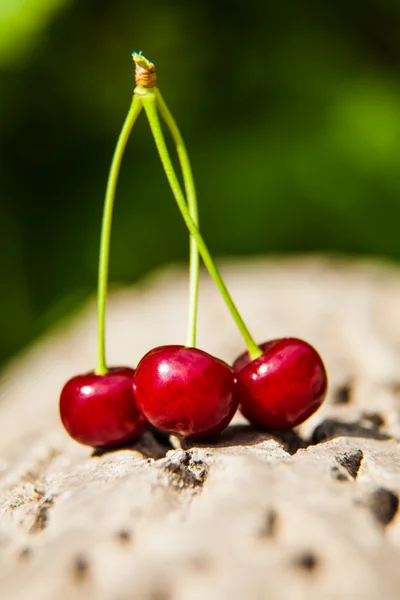 Three ripe juicy cherries — Stock Photo, Image