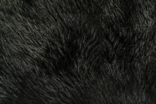 Black fur Stock Photos, Royalty Free Black fur Images