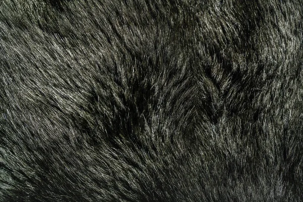 Abstract Background Faux Fur Texture Closeup — Stock Photo, Image