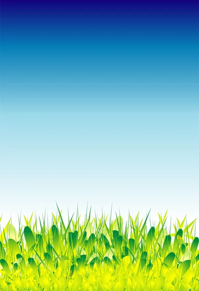 Groen gras en mooie hemel — Stockvector