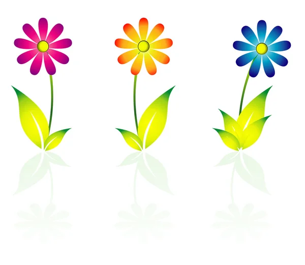 Flores de margarita — Vector de stock