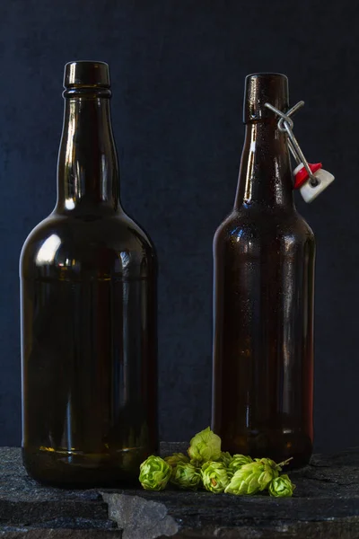 Two brown retro beer bottle on stone background with hop plant. Dark drink still life
