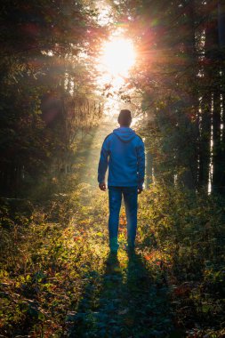 Güneşin doğuşunda sisli bir sis ile sonbahar yeşillik orman tünelinde yürüyen beyaz bir adam. Çek manzarası