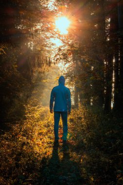 Güneşin doğuşunda sisli bir sis ile sonbahar yeşillik orman tünelinde yürüyen beyaz bir adam. Çek manzarası