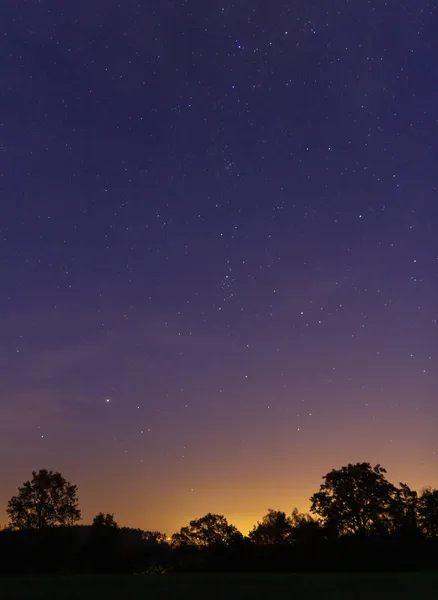 Heldere Herfstnachtelijke Hemel Met Sterren Boomsilhouet Tsjechisch Landschap — Stockfoto