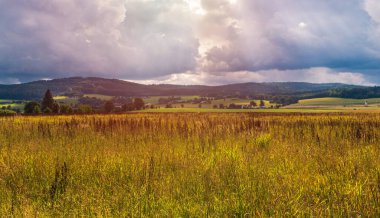 Ağaçlı ve uzak tepeli kuru otlar. Güney Çek Cumhuriyeti Yazı