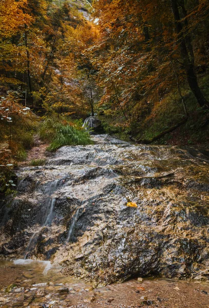 Piccola Cascata Grande Pietra Nelle Alpi Austriache Fiume Klausbach Valle — Foto Stock