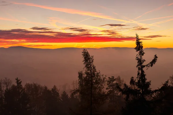 Herbstliche Tschechische Landschaft Mit Nebelschwaden Und Baumsilhouette Vor Dem Morgensonnenaufgang — Stockfoto