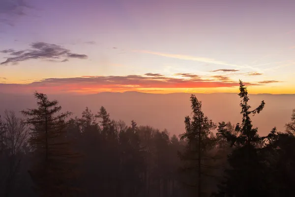 Herbstliche Tschechische Landschaft Mit Nebelschwaden Und Baumsilhouette Vor Dem Morgensonnenaufgang — Stockfoto