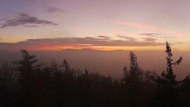 Ağacın tepesinde inanılmaz bir gün batımı