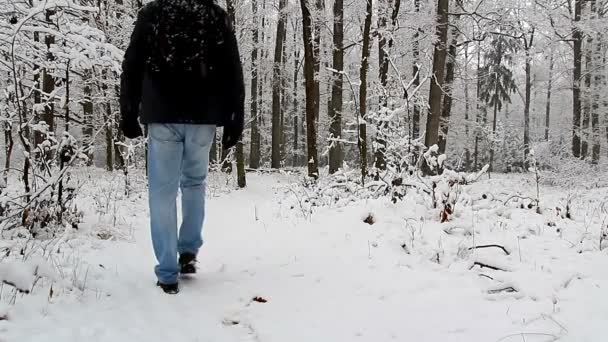 Muž Kráčející Zasněžené Scéně Stromy — Stock video