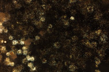 Ceske Budejovice şehrinde yeni yılınız kutlu olsun. Siyah arkaplanda parlak parıltılı havai fişekler