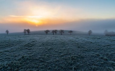 Kış çeçeği manzarası. Gün doğumunda sisli sis altında ağaçlar ve tarım alanları