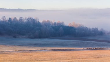 Tarım arazisi ve sisli sis üzerindeki çayırı olan bir grup kış ağacı gün doğumunda aydınlandı.