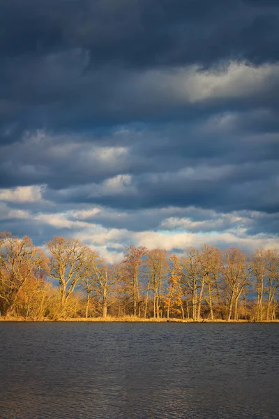 日落时分 湖面上空 水边长满了无叶的树 捷克景观 — 图库照片