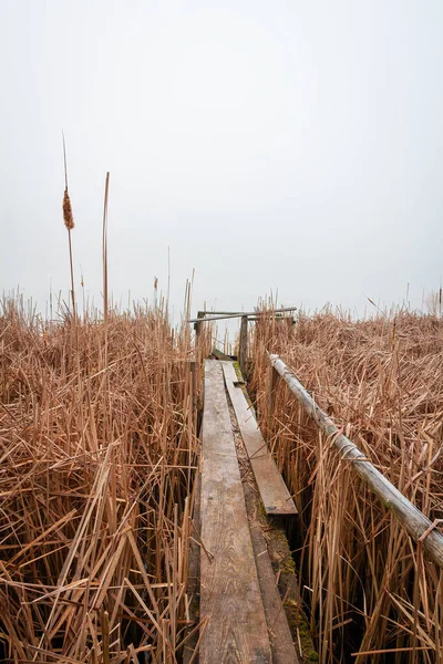 小小的木制码头 在雾蒙蒙的情况下 铺着芦苇草的走道 春天的山清水秀 — 图库照片