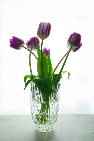 Lale Mor Çiçek Buketi Vazoda Mermer Masada Izole Beyaz Arka — Stok fotoğraf